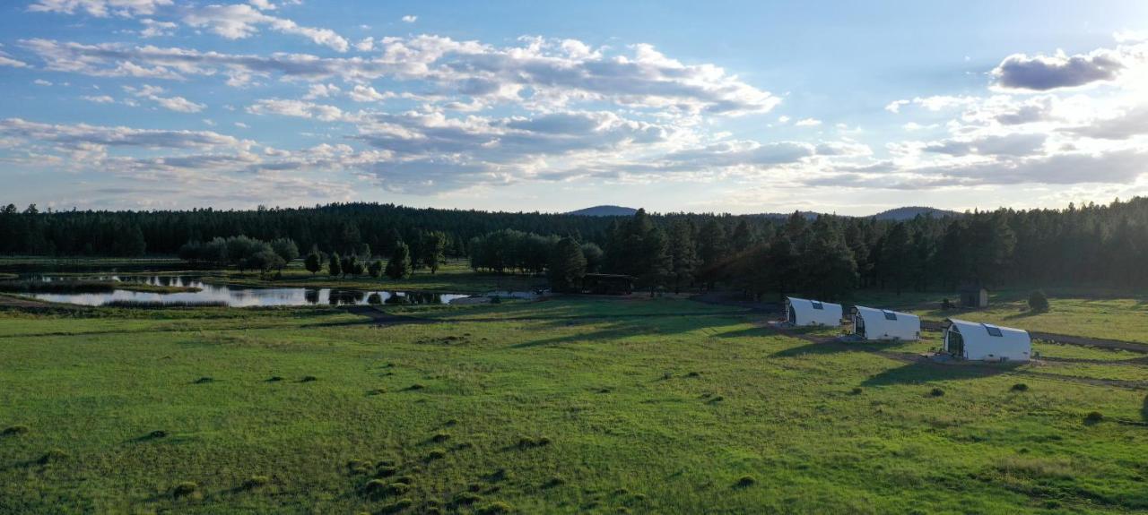 Backland Hotel Williams Eksteriør billede